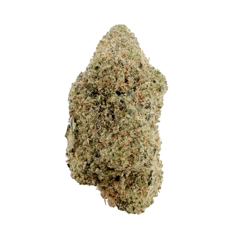 Blueberry Muffin