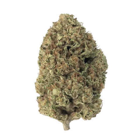 Jelly Donutz