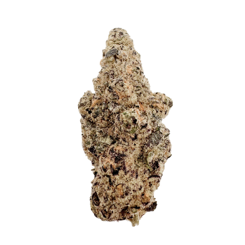 LCG x Cookies